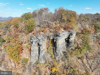 76 ACRES Queens Point Rd SW, Westernport, MD 21562