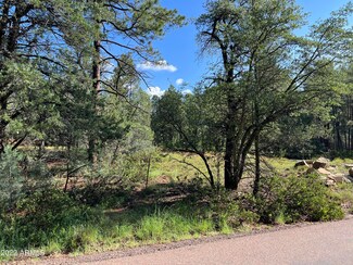 389 W Apache Trail Unit 389, Pine, AZ 85544