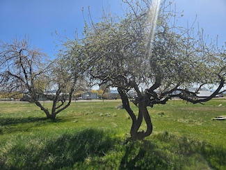 133 Green S, Paisley, OR 97636