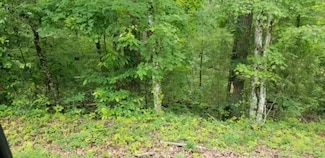 137 Randall Fugate Rd, Spring City, TN 37381