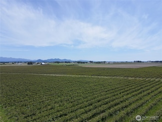 0 Young Rd, Mount Vernon, WA 98273