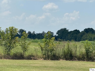 52 acres Louisiana 583, Rayville, LA 71269