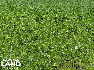 178 Stroh Rd, Almyra, AR 72003