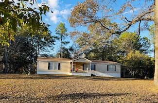 41 Buck Hill Rd, Millry, AL 36558