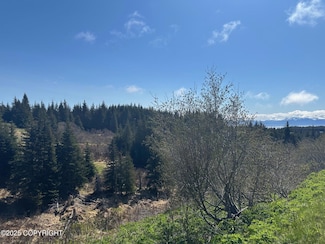 64370 Diamond Ridge Rd, Homer, AK 99603