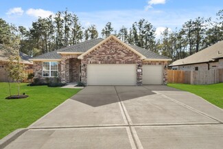 294 Gallant Fox Way, New Caney, TX 77357