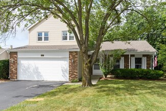 2317 Massachusetts Ave, Naperville, IL 60565