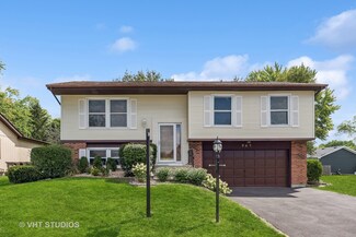 965 Pheasant Ridge Dr, Lake Zurich, IL 60047