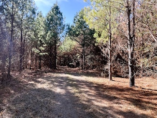0 Lock 3 Rd, Demopolis, AL 36732