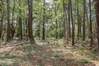 32 Old Carriage Loop, Georgetown, SC 29440