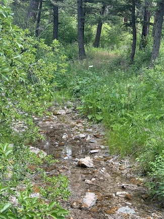 NHN Little Wolf Creek Rd, Wolf Creek, MT 59648