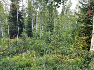 405 Targhee Dr Unit 405, Oakley, UT 84055
