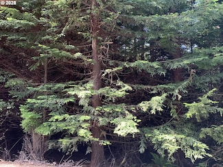 00 Shelley Rd, Coquille, OR 97423