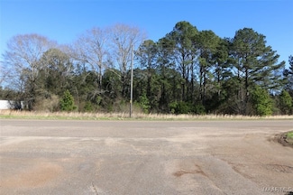 5188 Al Highway 22 Hwy, Valley Grande, AL 36703