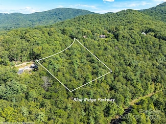 99999 Avondale Ridge Rd, Asheville, NC 28803