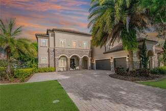 14908 Tom Fazio Ct, Tampa, FL 33626