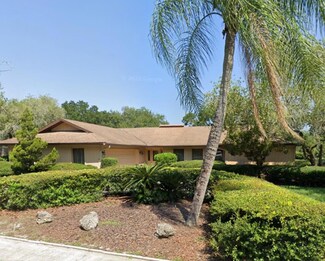 455 Hickorynut Ave, Oldsmar, FL 34677