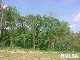 907 13th St, Rapids City, IL 61278