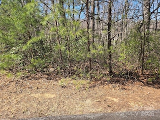Lot 39 Flynn Ct, Lake Lure, NC 28746