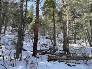 Lot 48 Falls Creek, Brazos, NM 87520
