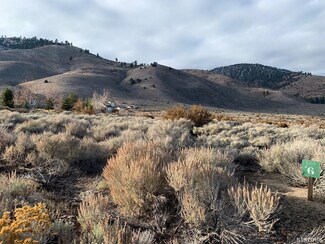 6 Hawkins Peak Rd, Markleeville, CA 96120