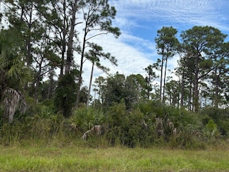 13458 Fairbanks Ave, Port Charlotte, FL 33953