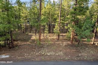 6938 Palomino Dr, Pinetop, AZ 85935