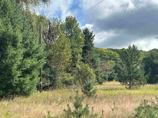 TBD Mt Bliss Rd, East Jordan, MI 49727