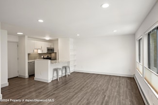 725 E Main St Unit 209, Aspen, CO 81611