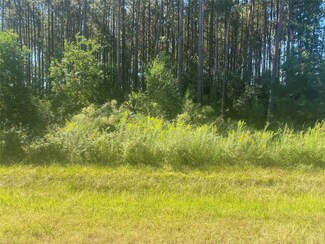 0 County Road 3545, Cleveland, TX 77327