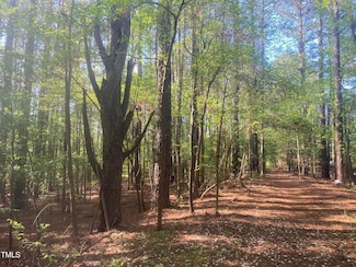 232 Curlew Dr, Chapel Hill, NC 27517