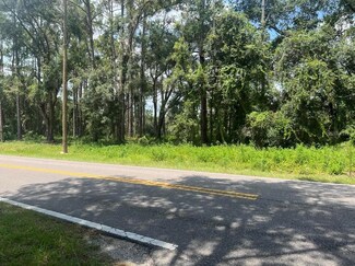 Lot #16 Richardson Blvd, Webster, FL 33597
