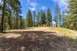 27 Malamute Rd, Twisp, WA 98856