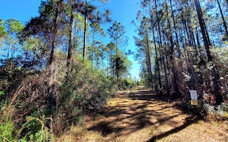 0 Rick & Bat Rd Unit 126236, Perry, FL 32347