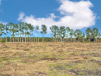 0 Tbd Mike Rogers Farm Rd Unit LotWP05C, Clio, SC 29525