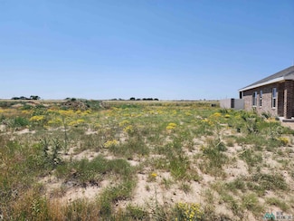 1825 Quail Wood Dr, Portales, NM 88130