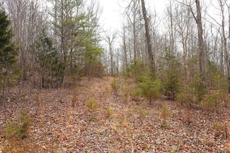 9095 Fairplay Rd, Columbia, KY 42728