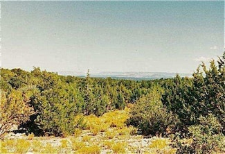 40ac 314-54-009, Peach Springs, AZ 86434