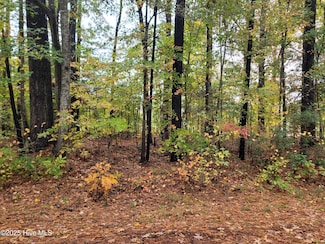 Lot #17 Dogwood Trail, Elizabeth City, NC 27909