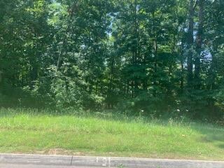 6276 Outlook Trail, Russellville, TN 37860