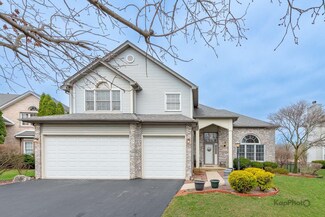 851 Bluestem Dr, Bolingbrook, IL 60440