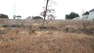 251 Silver Sunset Ln, Kimberling City, MO 65686