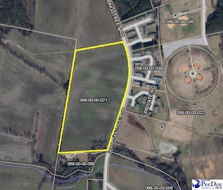 TBD Longstreet, Dillon, SC 29536
