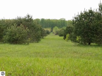 00 Viaduct, Copemish, MI 49625