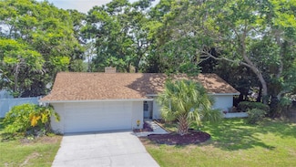 2285 Hidden Meadows Dr E, Palm Harbor, FL 34683