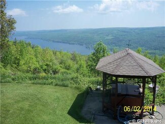 6375 Canadice Hill Rd, Springwater, NY 14560