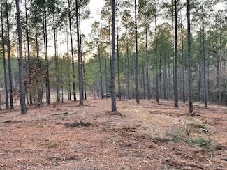 0 Camp Rawls Rd Unit 217758, Aiken, SC 29805