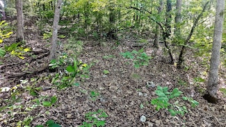 Lot 5 Silvercliff Way, Branson West, MO 65737