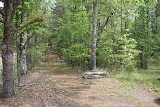 2.95 Acres Iris Place, Hot Springs, AR 71913