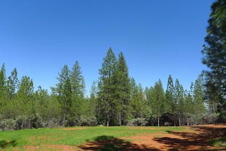 13555 Providence Way, Dobbins, CA 95935